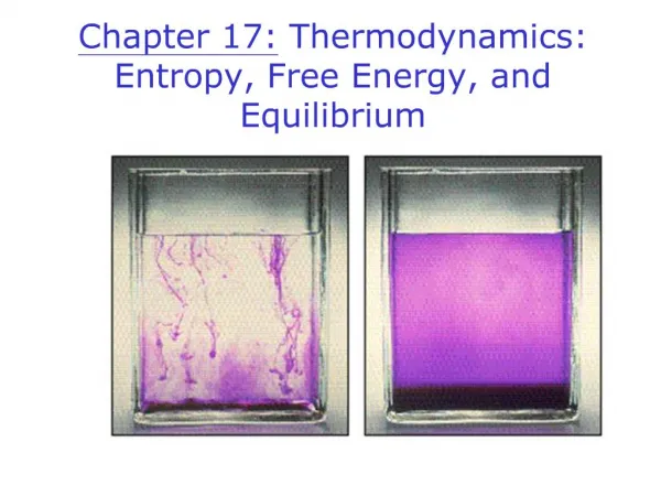 Chapter 17: Thermodynamics: Entropy, Free Energy, and Equilibrium