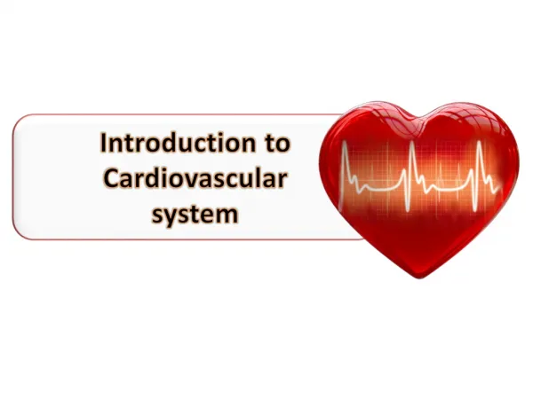 Introduction to Cardiovascular system
