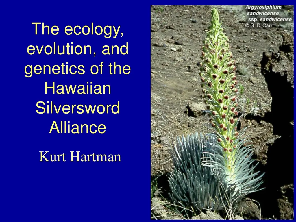 the ecology evolution and genetics of the hawaiian silversword alliance