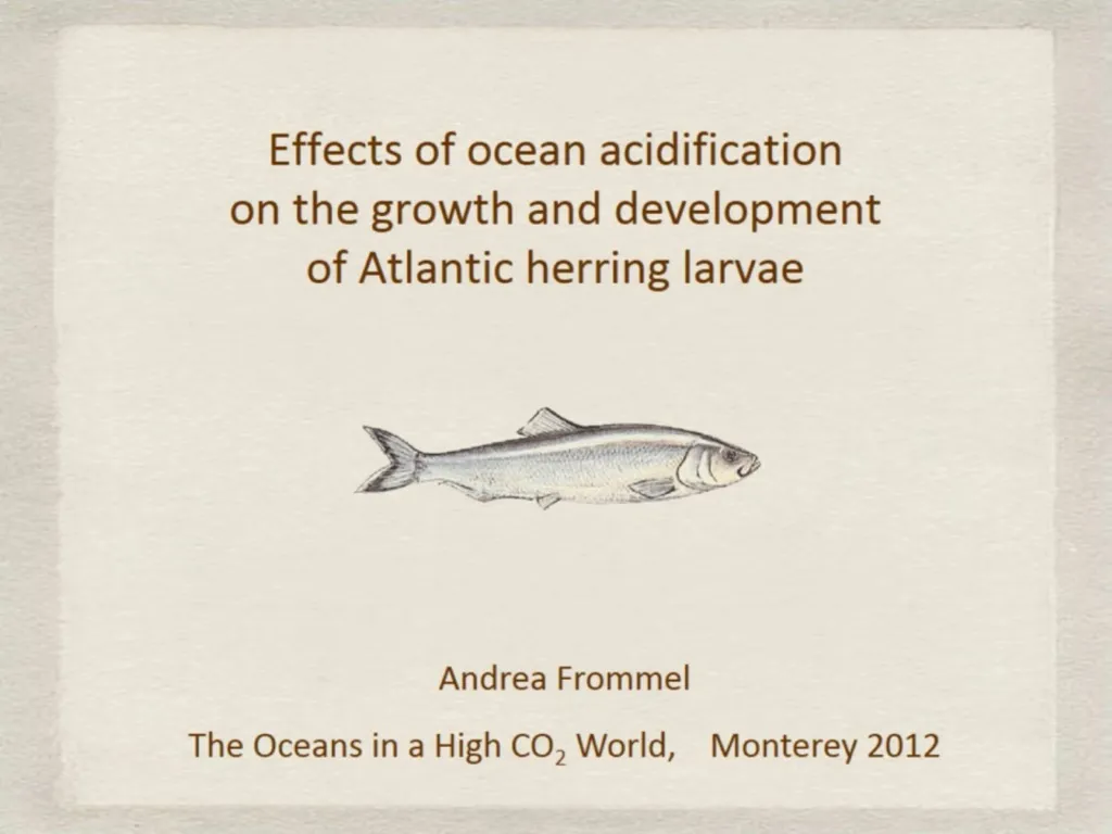 effects of ocean acidification on the growth and development of atlantic herring larvae