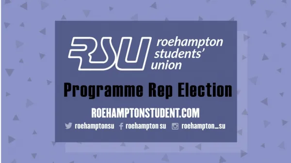 Programme Rep Election