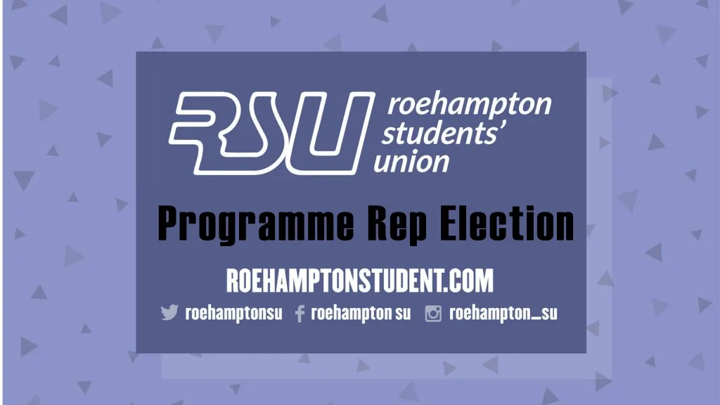 programme rep election