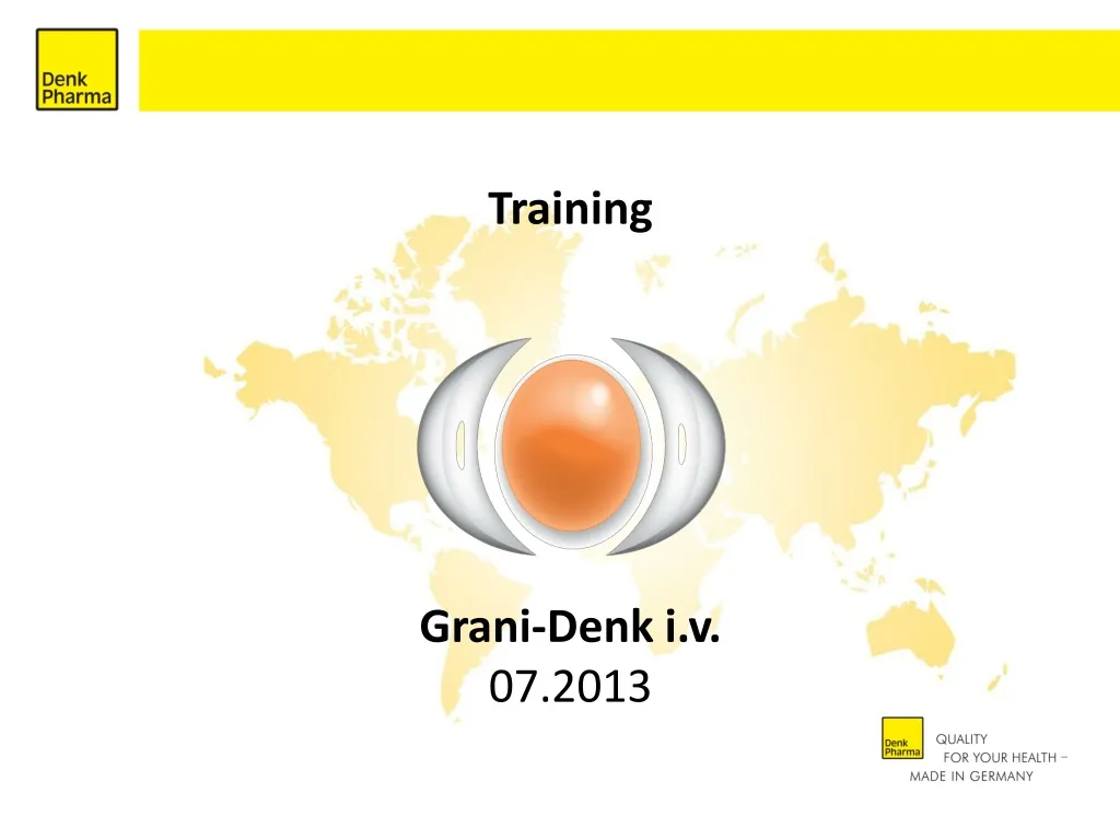 training grani denk i v 07 2013