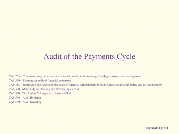 Audit of the Payments Cycle