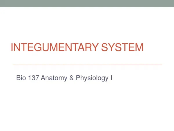 INTEGUMENTARY SYSTEM