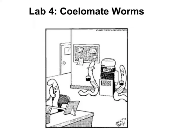 Lab 4: Coelomate Worms