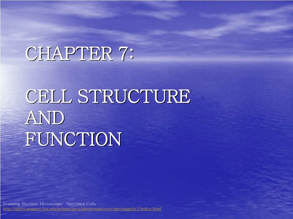 chapter 7 cell structure and function