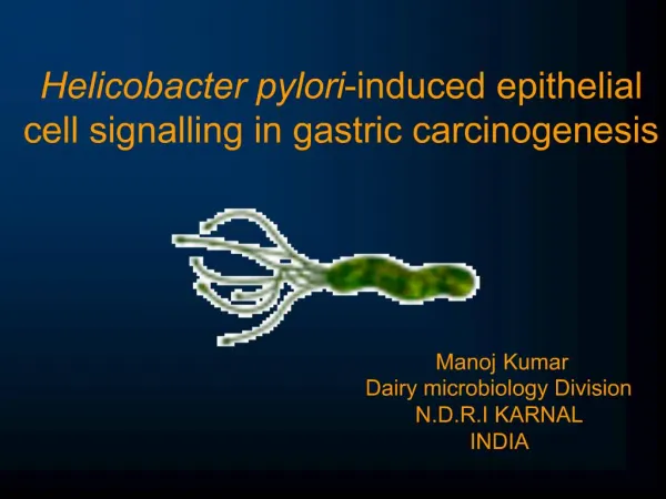 Helicobacter pylori-induced epithelial cell signalling in gastric carcinogenesis