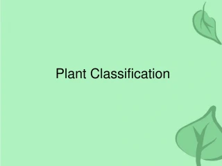 Plant Classification - slide 1