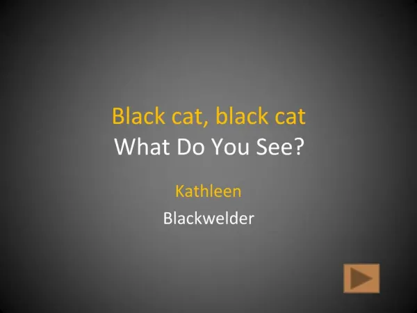 Black cat, black cat What Do You See