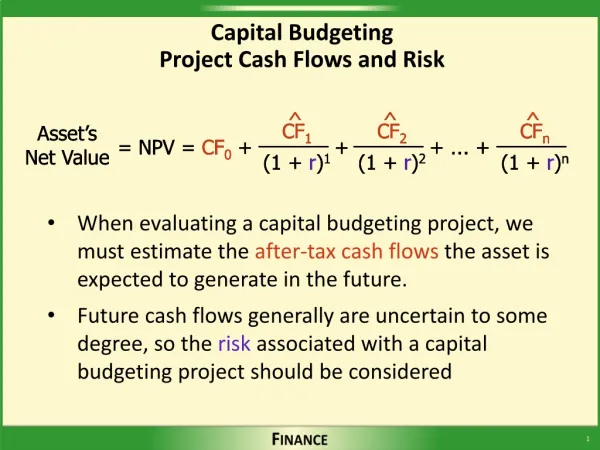 Capital Budgeting Project Cash Flows and Risk