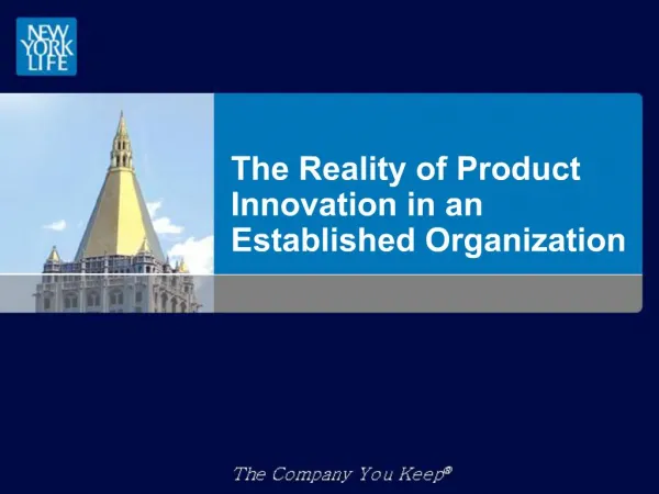 The Reality of Product Innovation in an Established Organization