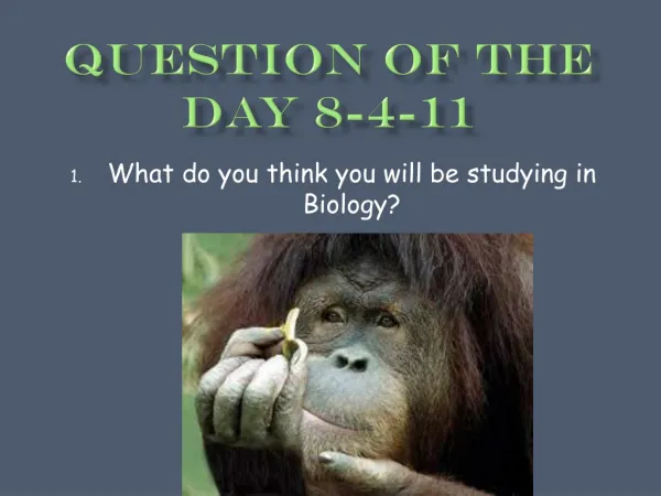 Question of the Day 8-4-11