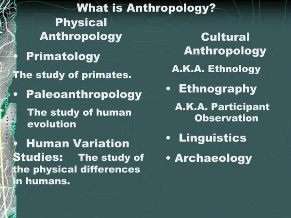 What is Anthropology