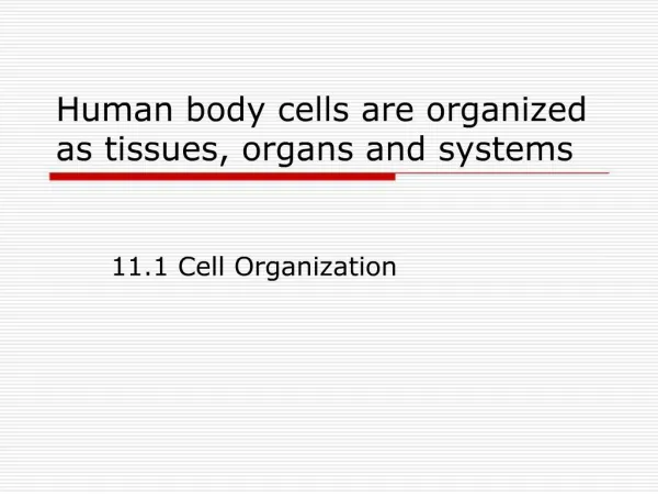 Human body cells are organized as tissues, organs and systems