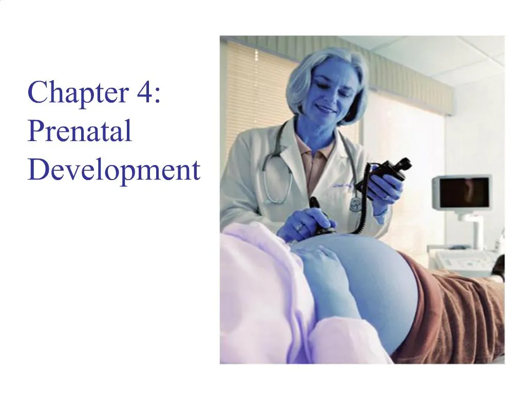 Ppt Chapter 4 Prenatal Development Powerpoint Presentation Free Download Id312027 1492