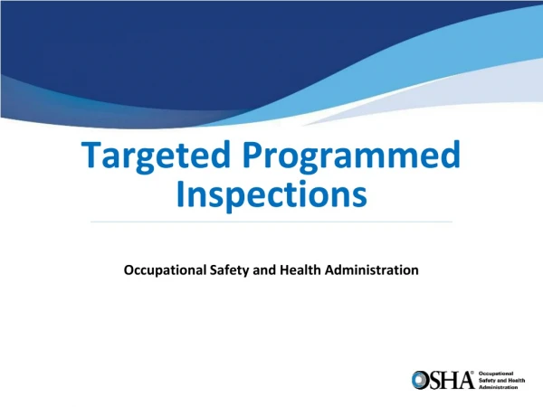 Targeted Programmed Inspections