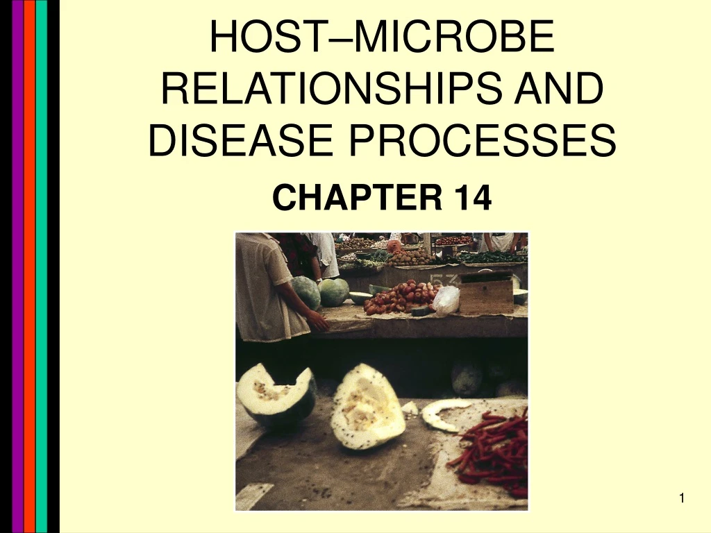 host microbe relationships and disease processes