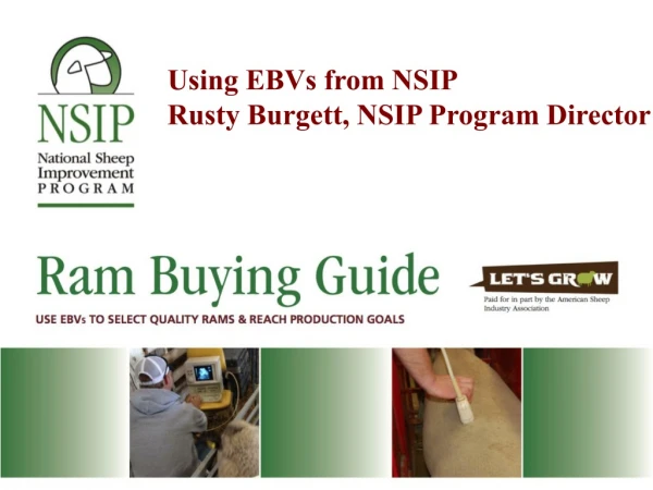 Using EBVs from NSIP Rusty Burgett, NSIP Program Director
