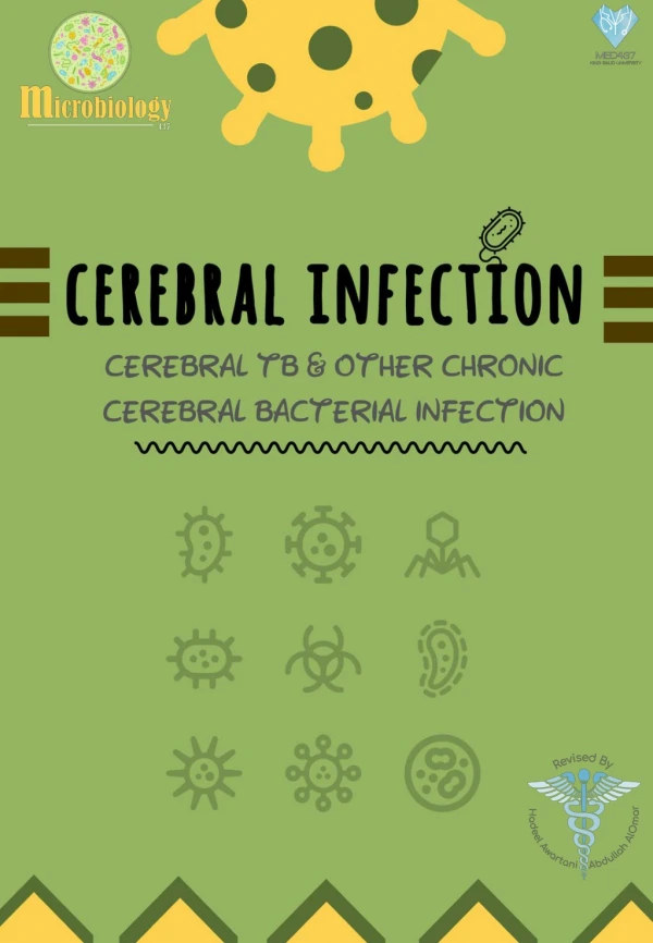 Chronic Cerebral and Meningeal Infection