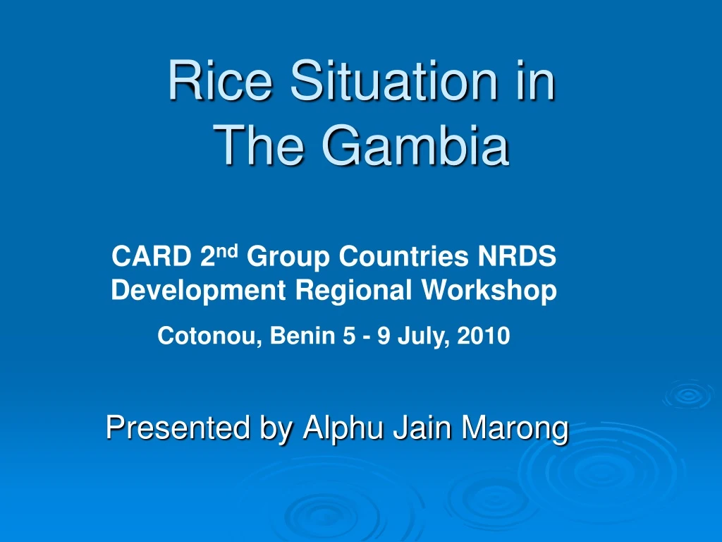 rice situation in the gambia