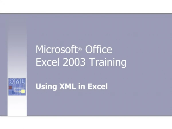 Microsoft Office Excel 2003 Training