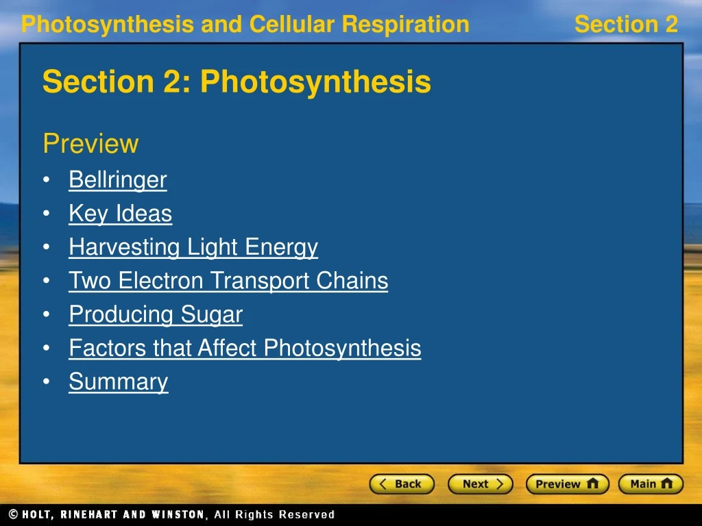 section 2 photosynthesis