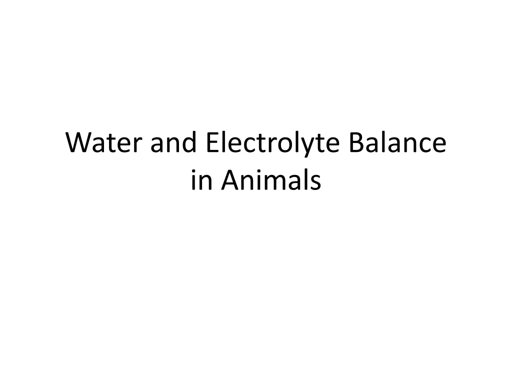 water and electrolyte balance in animals