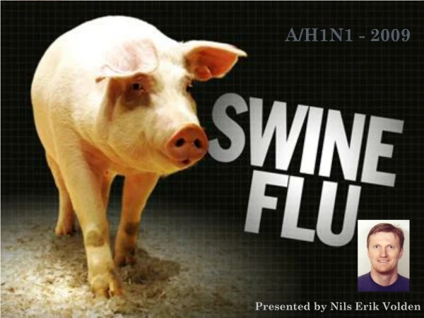 Swineflu - A/H1N1