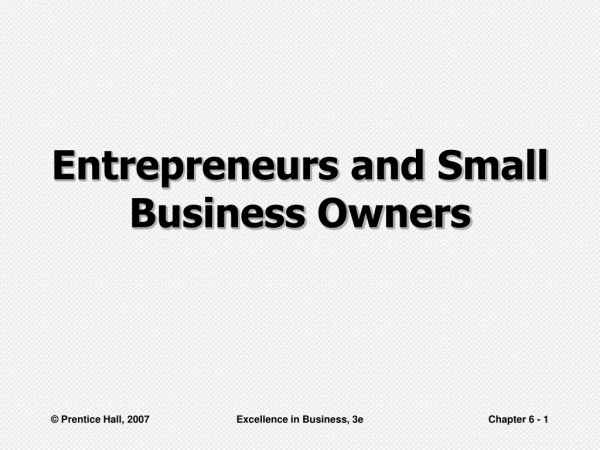 Entrepreneurs and Small Business Owners