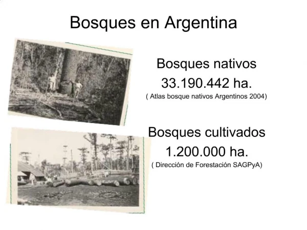 Bosques en Argentina