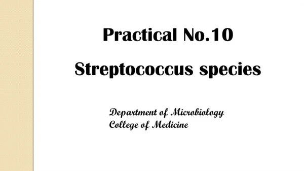 Practical No.10 Streptococcus species