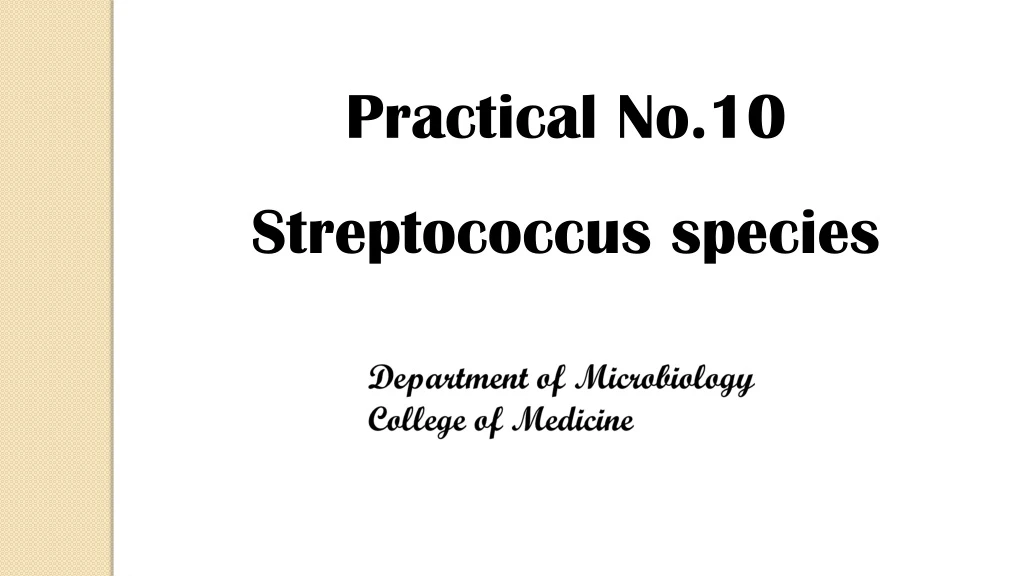 practical no 10 streptococcus species