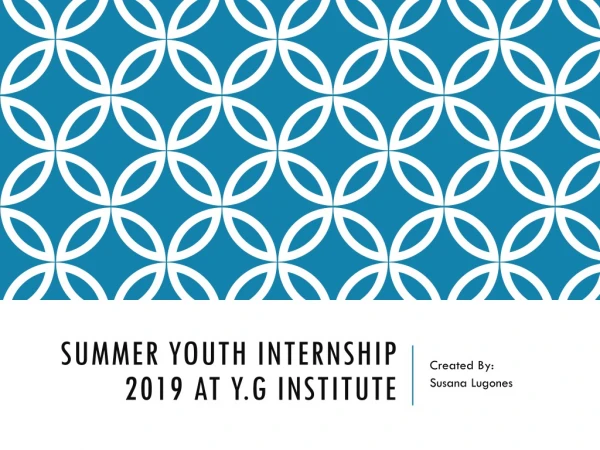 Summer Youth Internship 2019 At Y.G Institute