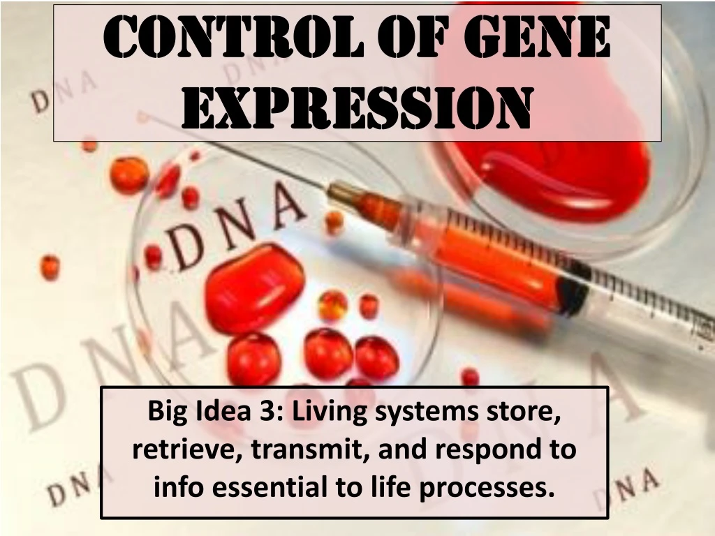 control of gene expression