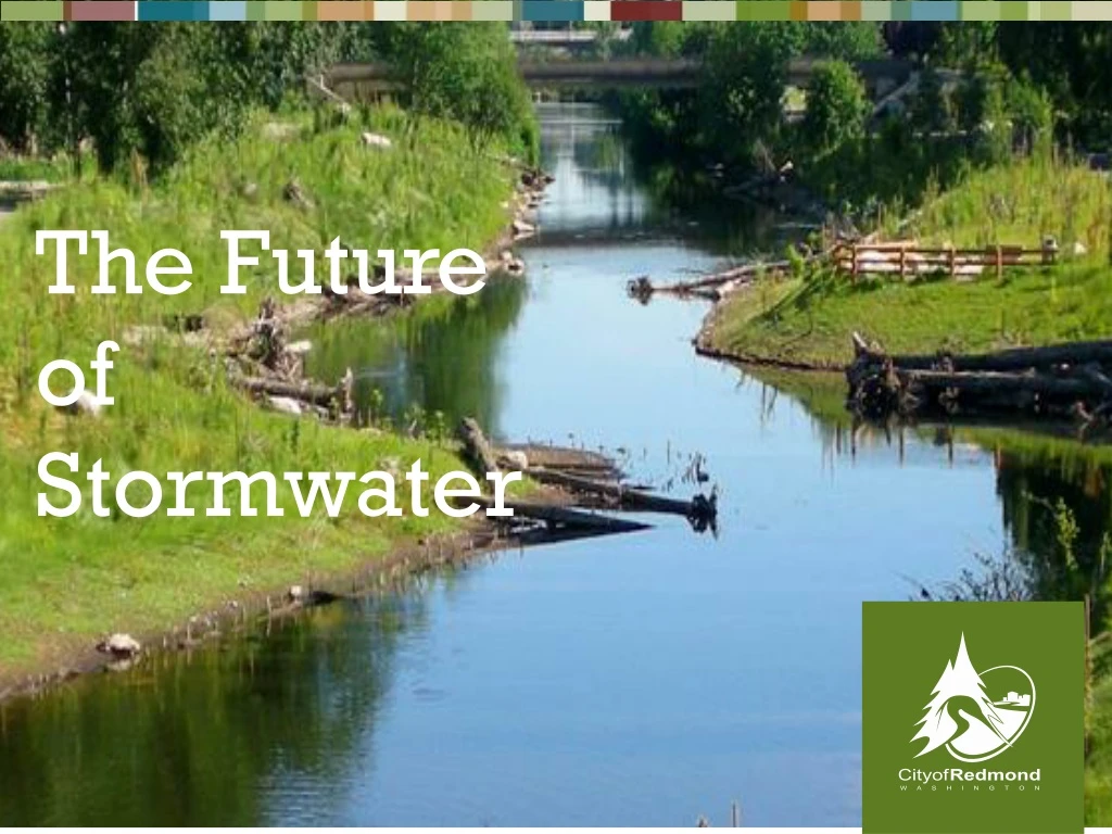 the future of stormwater