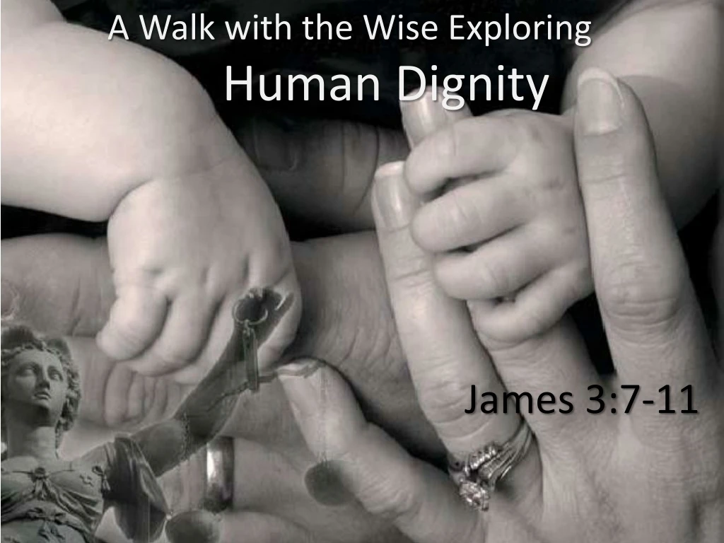 a walk with the wise exploring human dignity