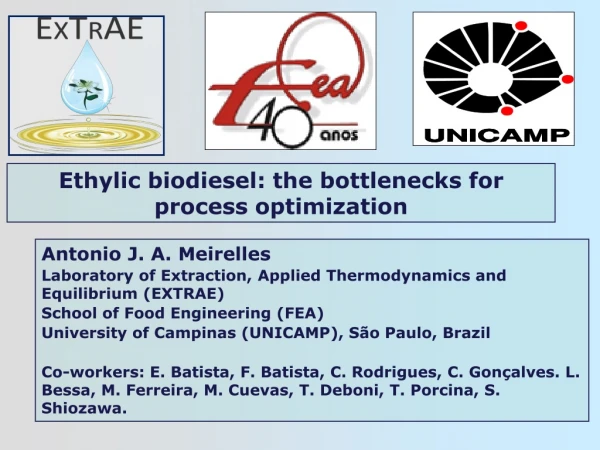 Ethylic biodiesel: the bottlenecks for process optimization