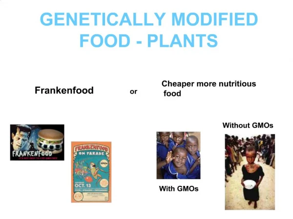 GENETICALLY MODIFIED FOOD - PLANTS