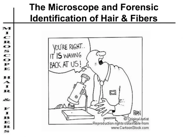 The Microscope and Forensic Identification of Hair Fibers