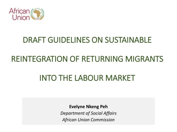 DRAFT GUIDELINES ON SUSTAINABLE REINTEGRATION OF RETURNING MIGRANTS INTO THE LABOUR MARKET