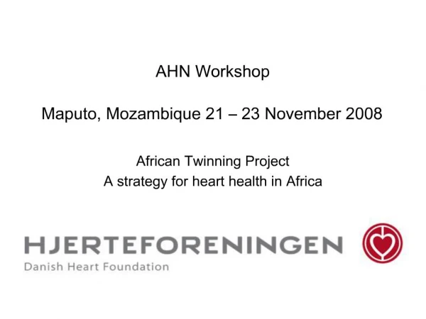 AHN Workshop Maputo, Mozambique 21 23 November 2008