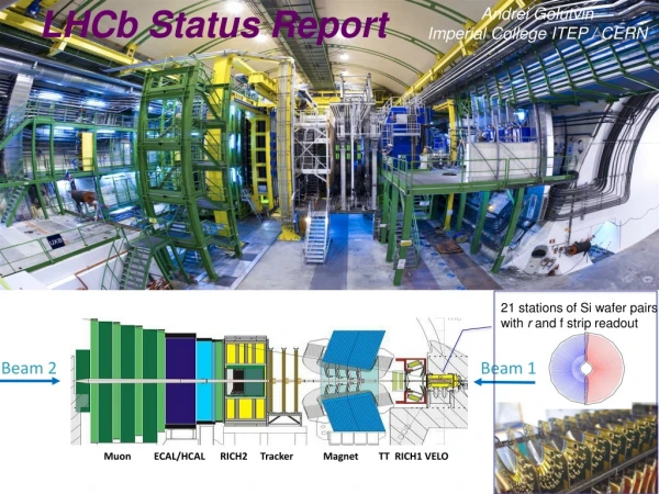 LHCb status report