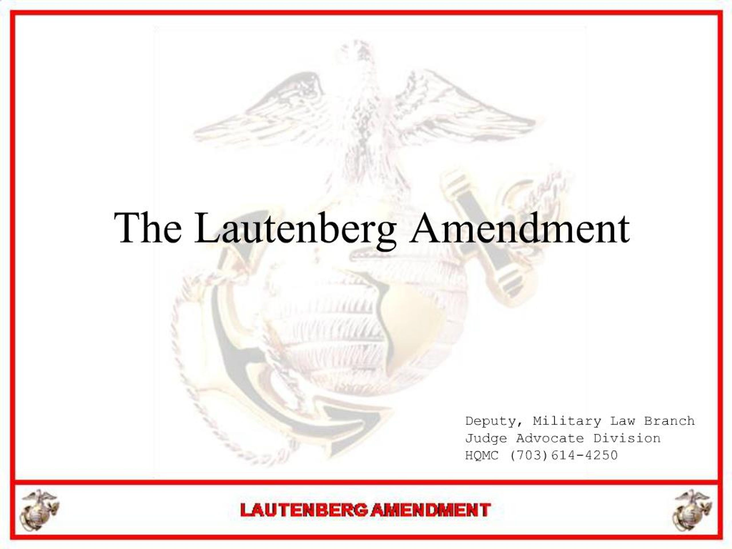 Lutenberg PPT - The Lautenberg Amendment PowerPoint Presentation, free download ...
