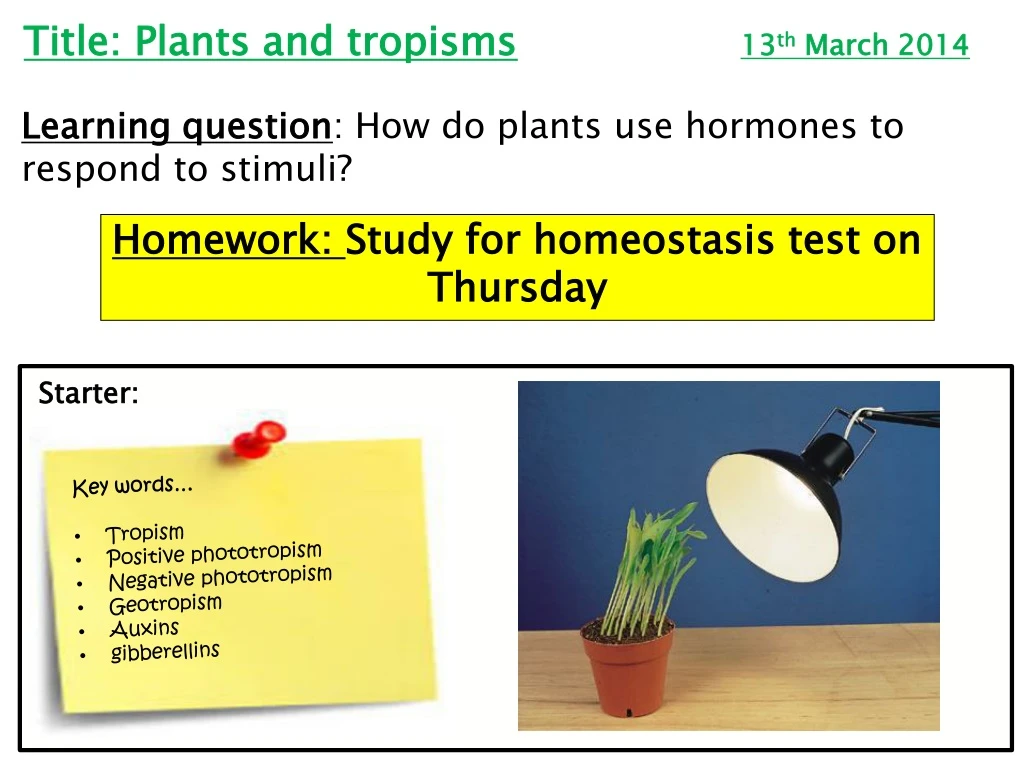 title plants and tropisms 13 th march 2014