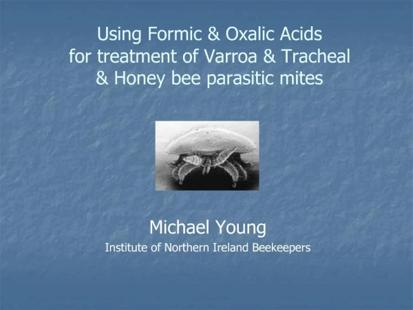 Using Formic Oxalic Acids for treatment of Varroa Tracheal Honey bee parasitic mites