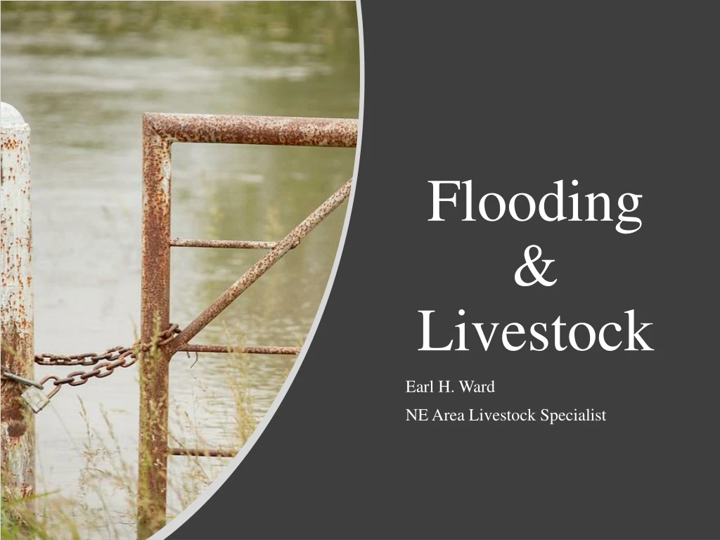 flooding livestock