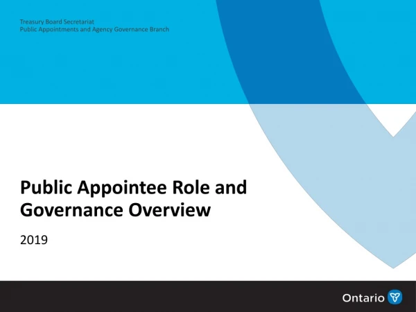 Public Appointee Role and Governance Overview