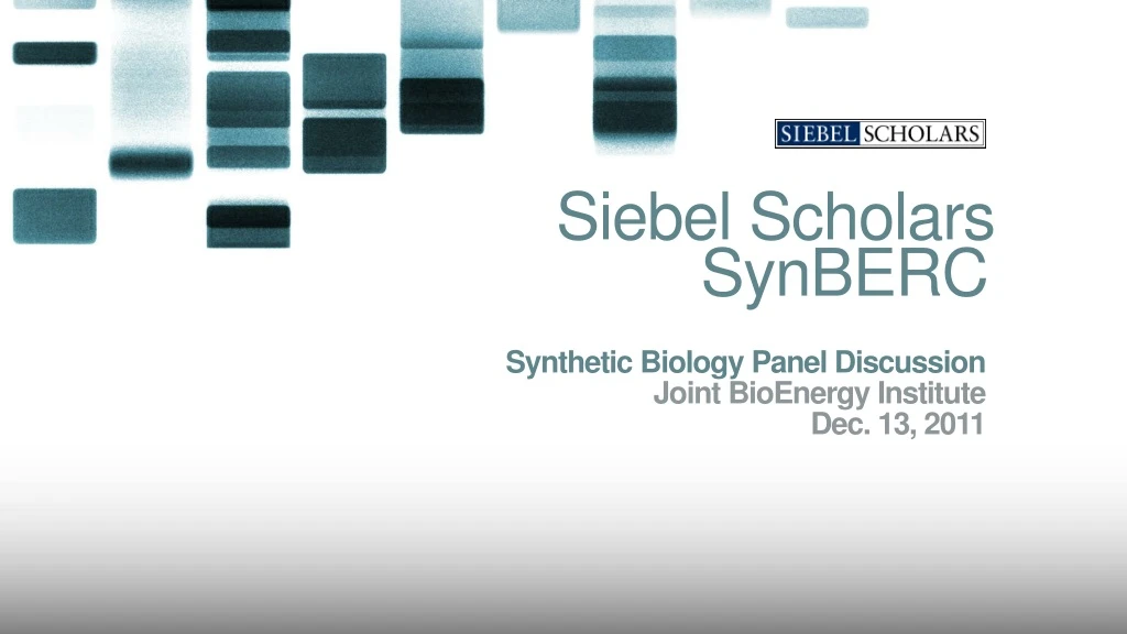 siebel scholars synberc
