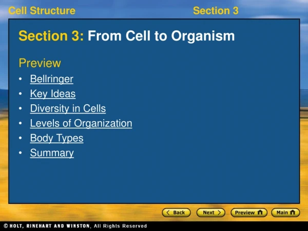 Section 3: From Cell to Organism